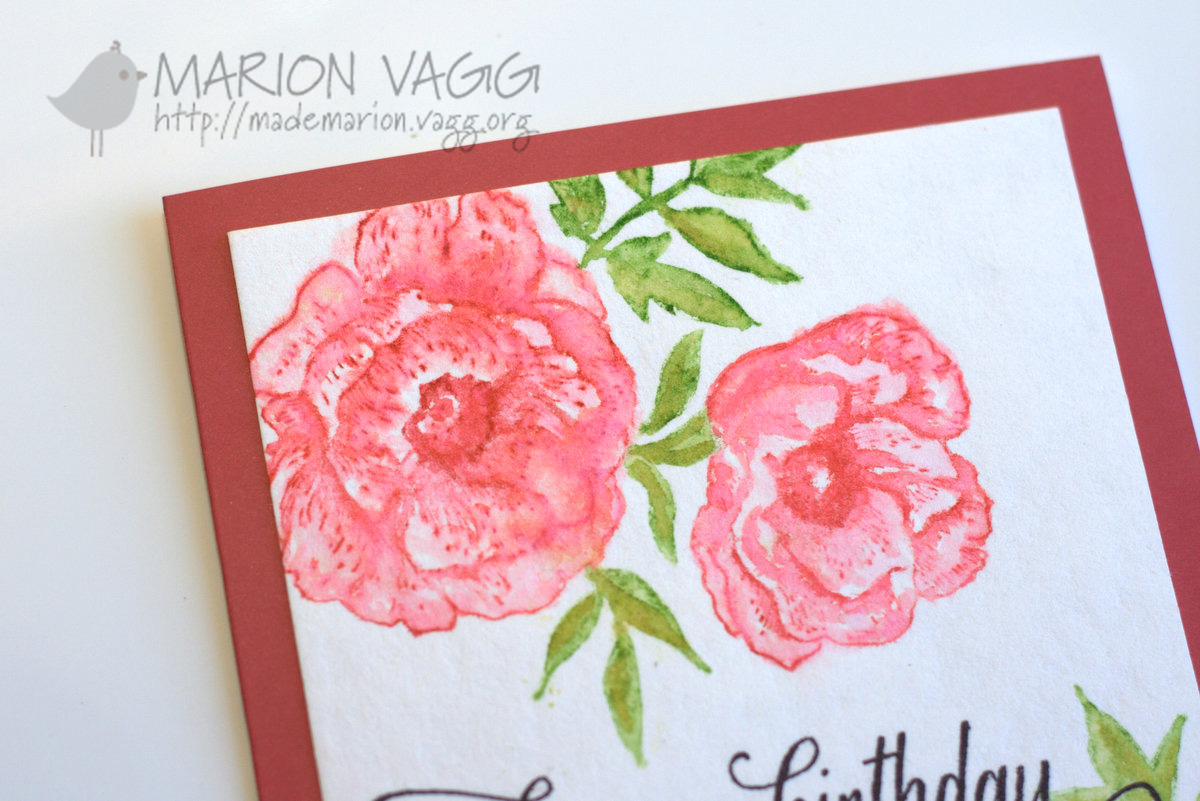 Watercolour flowers - detail | Marion Vagg