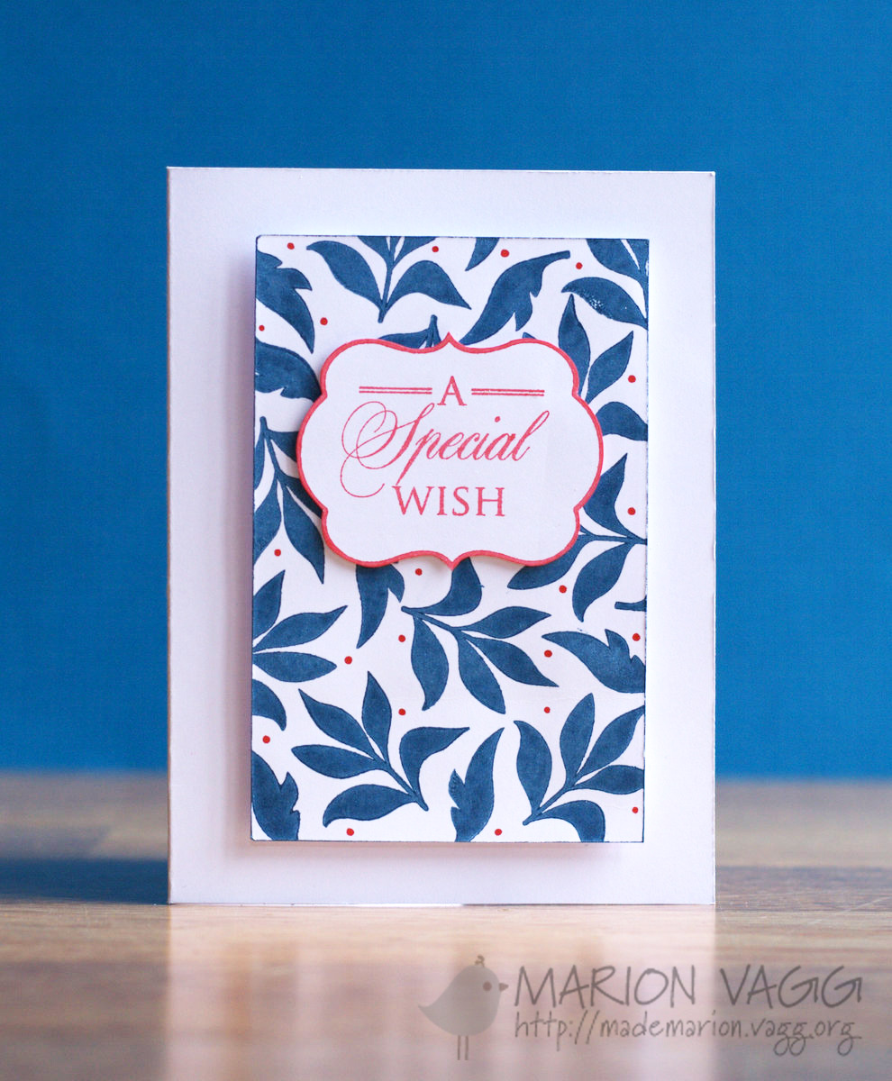 A Special Wish PB | Marion Vagg