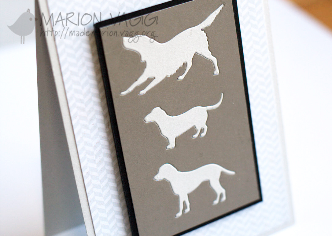 Canine Trio detail | Marion Vagg
