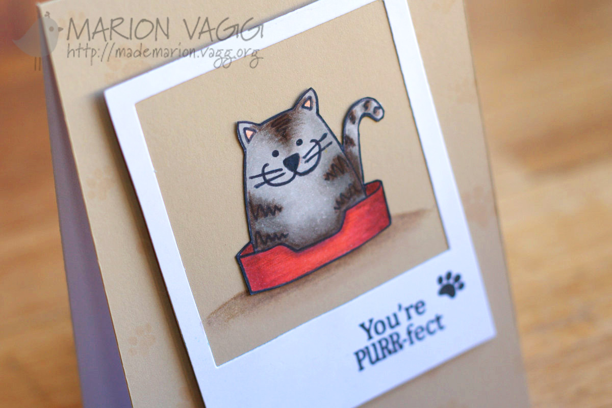 JD You're Purr-fect detail | Marion Vagg