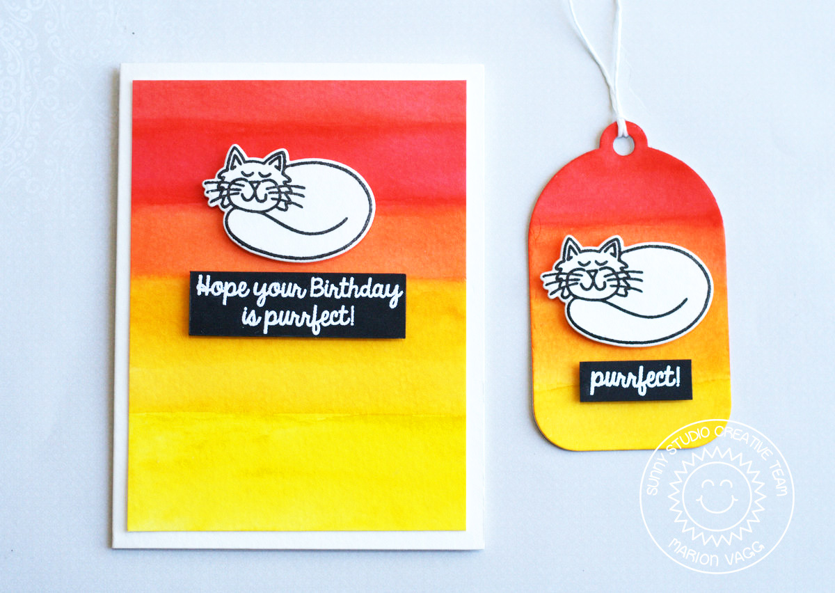 SS Purrfect Birthday | Marion Vagg