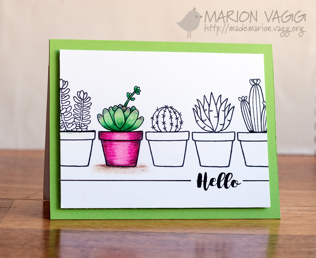 JD Cactus | Marion Vagg